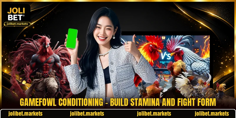 Gamefowl Conditioning - Build Stamina And Fight Form