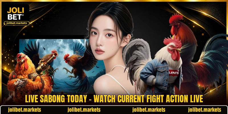 Live Sabong Today - Watch Current Fight Action Live