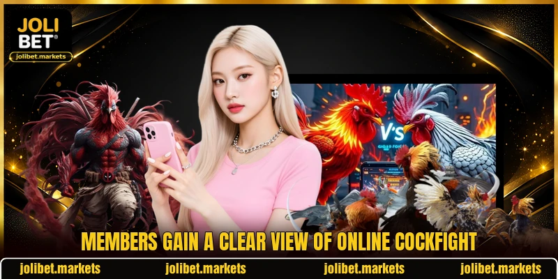 Members gain a clear view of online cockfight Members gain a clear view of online cockfight